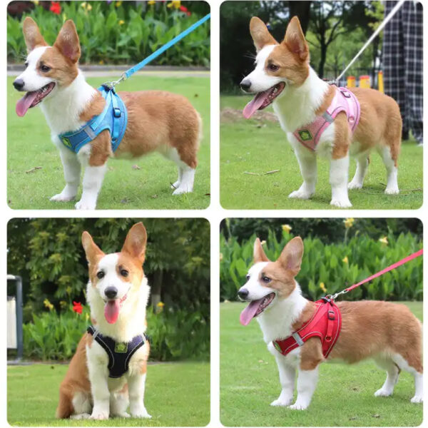 Wooflix Dog Harness for Small Dogs and Puppies - Suitable for Small Size Dogs, Cats & Puppies of up to 10 Kg